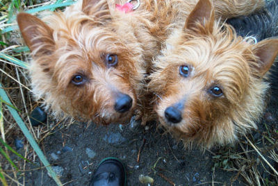 Kumbi on Left, Kwali on Right