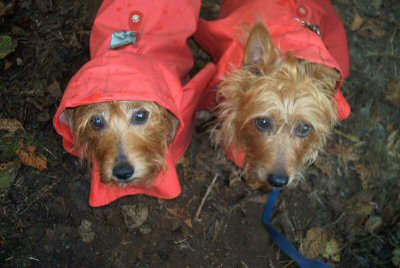 Kwali and Kumbi brave the rain