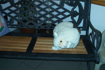 Stuffed Sheep