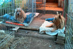 Kumbi and Kwali: Front Stoop Party