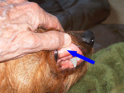 Hold the lip gently