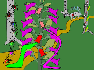 Novie and Vetsie look at the Needle Cap Bush
