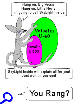 Vekkie calls for SkyLight-Inside