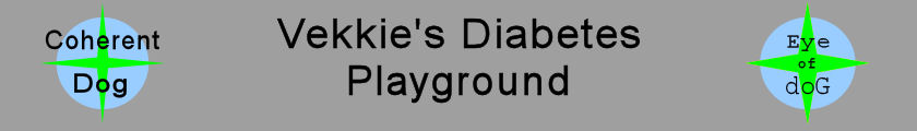 Vekkie's Diabetes Playground(16KB)